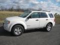 Ford Escape Hybrid White Suede photo #4 Ford Escape Hybrid White Suede photo #4