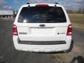 Ford Escape Hybrid White Suede photo #7