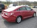 Hyundai Sonata Hybrid Venetian Red photo #6