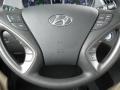 Hyundai Sonata Hybrid Silver Frost Metallic photo #27