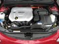 Hyundai Sonata Hybrid Venetian Red photo #9